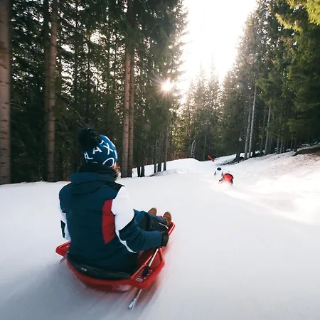 公寓 2 Pieces Confortables, Skis Aux Pieds, Animaux Admis - Fr-1-182a-24 *