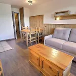 Daire 2 Pieces Confortables, Skis Aux Pieds, Animaux Admis - Fr-1-182a-24 *