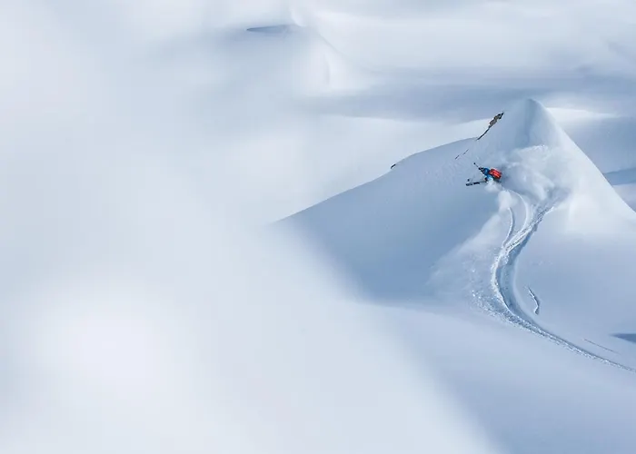 2 Pieces Confortables, Skis Aux Pieds, Animaux Admis - Fr-1-182a-24 Daire