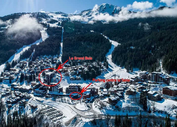 2 Pieces Confortables, Skis Aux Pieds, Animaux Admis - Fr-1-182a-24 Апартаменты *