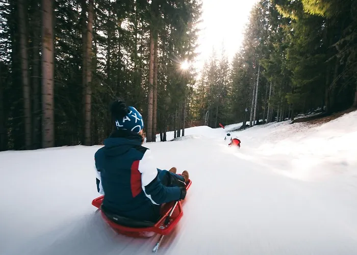 Апартаменты 2 Pieces Confortables, Skis Aux Pieds, Animaux Admis - Fr-1-182a-24 *